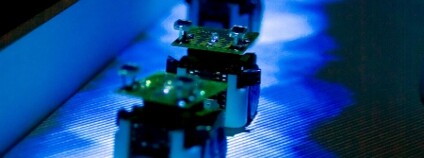 Garnier S, Combe M, Jost C, Theraulaz G