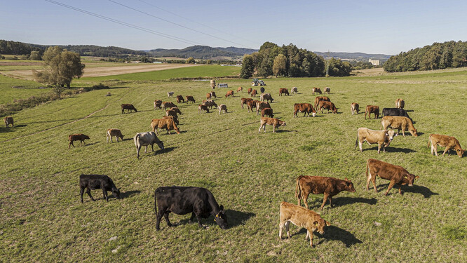Rodinná farma Helmovi