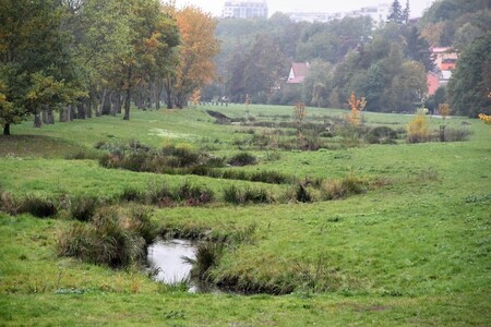 Meandrující Rokytka, oblíbené místo pražského koordinátora EVVO.