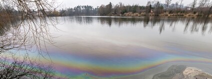 Ropná skvrna na Pávovském rybníce Foto: Město Jihlava