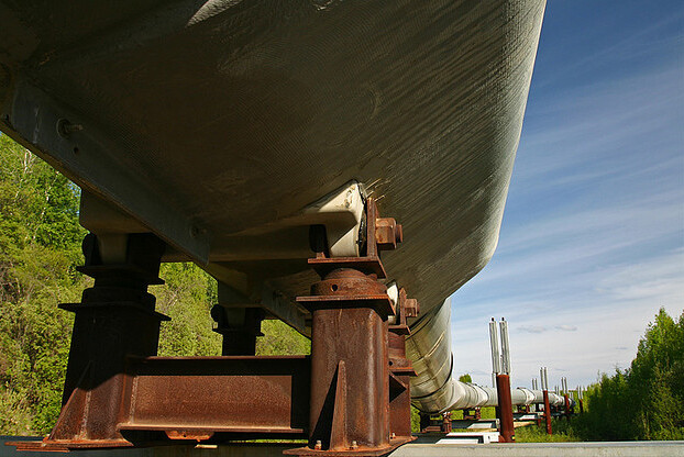 Rozhodnutí ministerstva vnitra uvítaly aljašské skupiny bojující za ochranu životního prostředí i sdružující aktivisty z řad původních obyvatel, které se proti prodeji koncesí bránily i soudní cestou.