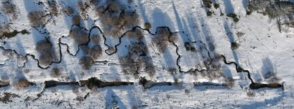 Foto:  Vítek Rous / Grania