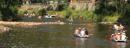 foto: PetrFromMoravia / Pixabay