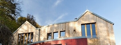 Rozmarýnek Foto: Lipka