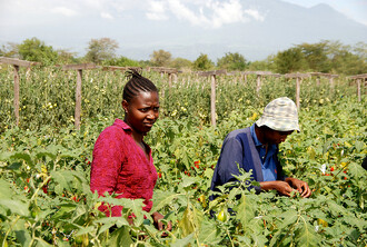 Nebude-li podle vědců dosaženo pokroku v boji proti oteplování klimatu, poroste rozdíl v příjmech na jednoho obyvatele. Zatímco 20 % nejbohatších zemí zaznamená mírný nárůst oproti situaci, kdy by se klima neměnilo, ve 40 % nejchudších zemí poklesne průměrný příjem o 75 %