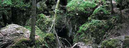 Místo propadu Jedovnického potoka - NPP Rudické propadání na Blanensku Foto: Lukáš Malý / Wikimedia Commons