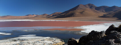 Řasy v laguně Foto: Harald Toepfer / Shutterstock.com