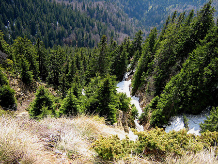 Na špatně volenou výsadbu lesů připadá jenom šest procent podílu z celkového oteplování, největší podíl na něm mají fosilní paliva