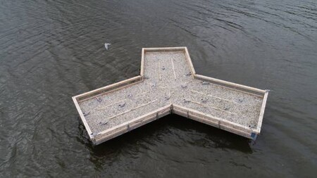 Ohrožení rybáci obecní mohou na Novomlýnských nádržích na Břeclavsku k hnízdění od jara využívat i umělý plovoucí ostrov.