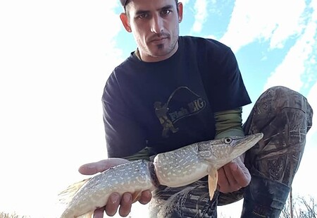 „Nejprve mi přišlo na mysl, že ta štika byla nedávno napadena jinou dravou rybou, ale pak jsem si všiml obalu,“ popisuje rybář Turnbull.