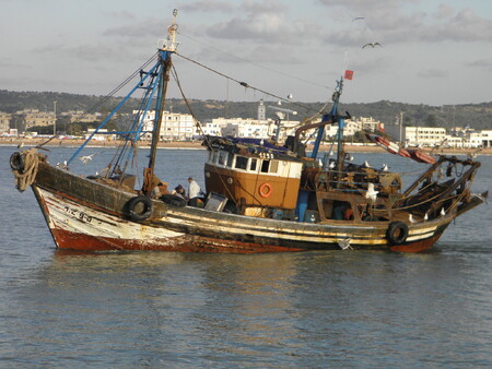Současné technické dispozice údajně neumožňují rybářům ve Středozemním moři reagovat na snížení kvót jinak, než že část úlovku ze sítí prostě vyházejí zpět do vody.