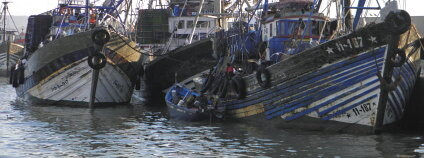 Rybáři v současnosti čelí snižování povolených odchytových kvót. Foto: Radomír Dohnal / Ekolist.cz