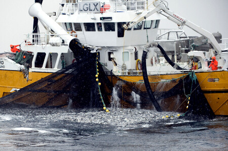 Zpráva přihodila polínko pod již bublající hrnec vyhrocených debat o praktikách rybářů a přehnané regulaci rybolovu ve vodách EU.