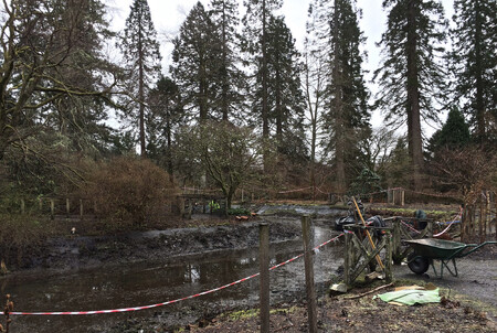 Rybník je nyní vypuštěný a jeho břehy chce město opravit vlastními silami a s využitím vězňů. Počítá se i s vybudováním nového zázemí, celkově bude v příštím roce do revitalizace investováno 25 milionů korun.