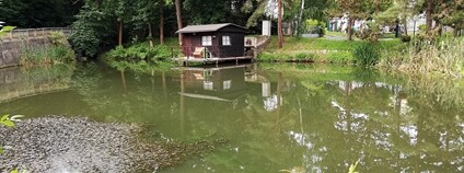 Rybník Bubec v pražských Řeporyjích Foto: Mojmir Churavy Wikimeda Commons