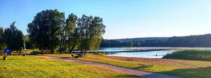 Pláž u rybníka Rosnička Foto: Ladislav Boháč Wikimeda Commons