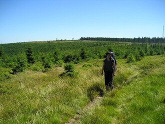 Rychlebské hory se často přiřazují
k Jeseníkům, ve skutečnosti je to samostatné pohoří. Na snímku sestup ze Smrku.