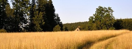 Foto: Martin Janoška / Naše příroda