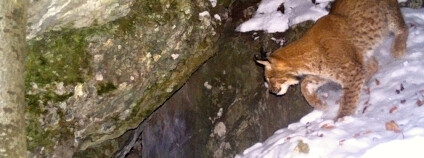 foto: Mendelova univerzita