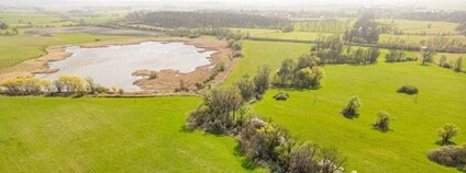 Budoucí Ptačí park Rzy ve východních Čechách Foto: ČSO