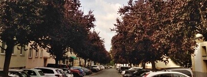 Foto: Karel Zvářal