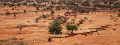 Sahel, Burkina Faso Foto: CIFOR Flickr.com
