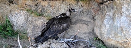 Foto: Sylva Firlová / Zoo Ostrava