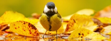 Foto: Ondřej Prosický