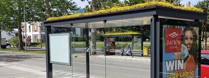 Foto: BrightVibes / www.ecowatch.com