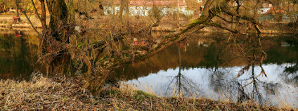 Sázava Foto: kajano Shutterstock