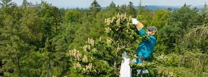 Foto: Mendelova univerzita v Brně