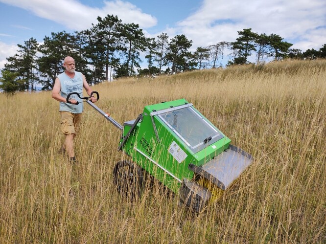 Sběr osiva pomoci kartáčovacích strojů