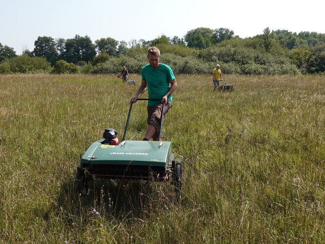 Sběr pomoci kartáčovacích strojů