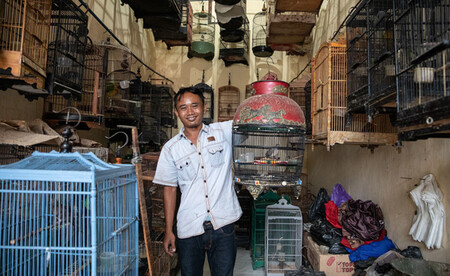 Je špatné mít za domácího mazlíčka papouška? Záleží, odkud pochází a jakého je druhu. Pokud patří mezi ty ohrožené a do vaší klece doputoval z volné přírody, problém to bude.