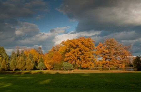 V Dendrologické zahradě v Průhonicích u Prahy vzniká stezka z dřevin odolávajících suchu. / Ilustrační foto