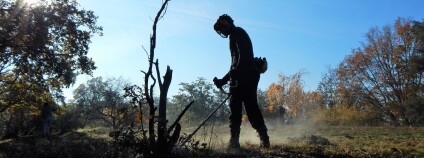 Foto: Tomáš Zděblo / Jestřábník