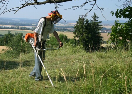 Některá místa je potřeba udržovat. Jinak zarostou.
