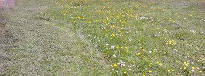 Foto: Karel Zvářal / archiv autora