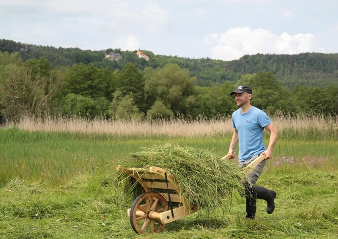 Sedmihorské mokřady.