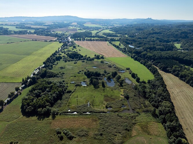 Dlouhodobě nadace podporuje obnovu Sedmihorských mokřadů v Českém ráji.