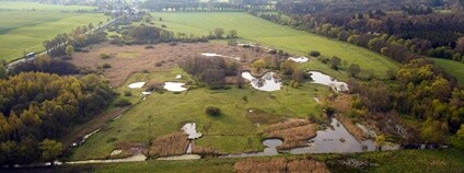 Sedmihradské mokřady Foto: Petra Stráníková, GREYCAT FILM z.s. ČSOP