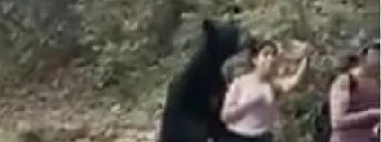 Selfie s medvědem Foto: Sky News