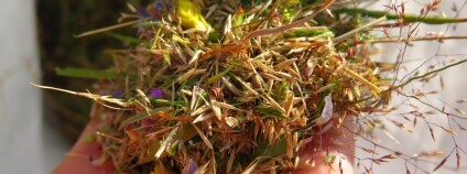 Foto: Kamila Vítovcová