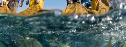 foto: DDC News / youtube.com