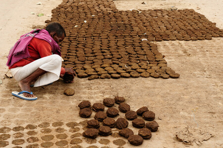 V Indii se kravský trus po staletí využívá jako palivo, ať už na topení, vaření nebo hinduistické rituály