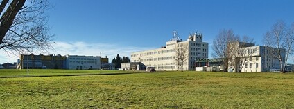 Sigma Lutín Foto: Jiří Komárek Wikimeda Commons