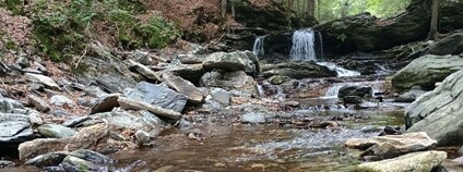 Rezervace Skalní potok v Jeseníkách Foto: Miroslav Havira AOPK ČR