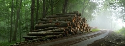 Foto: Bohumil Jagoš / AOPK ČR