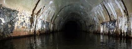 Foto: Miloš Anděra / Lesy ČR