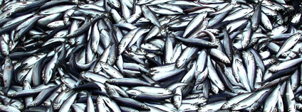 Ilustrační foto: NOAA